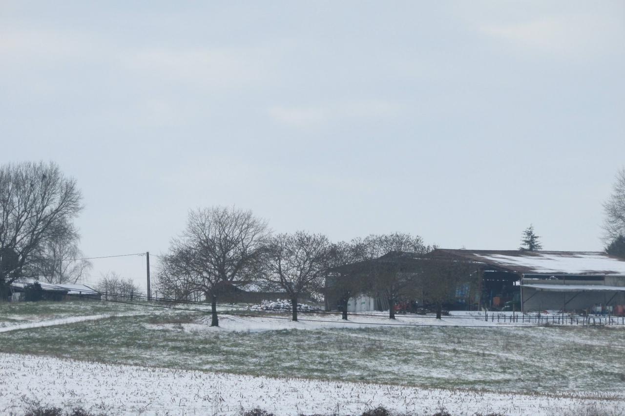 28/02/2018...La neige était au rendez-vous!