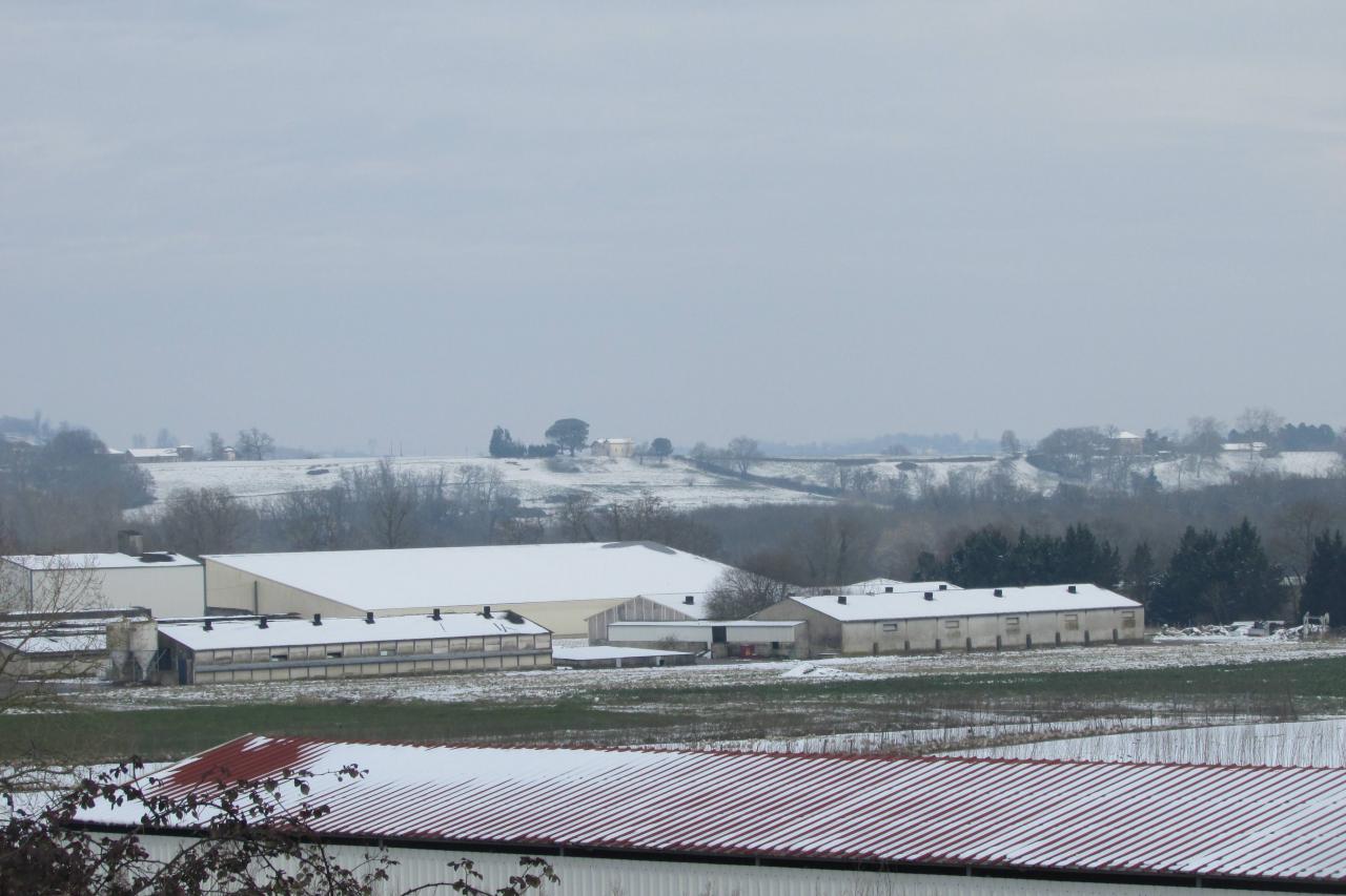 28/02/2018...La neige était au rendez-vous!