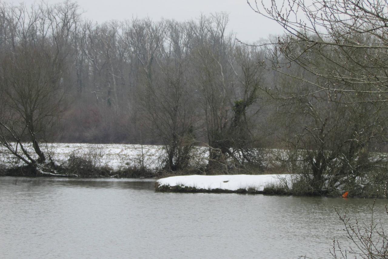 28/02/2018...La neige était au rendez-vous!