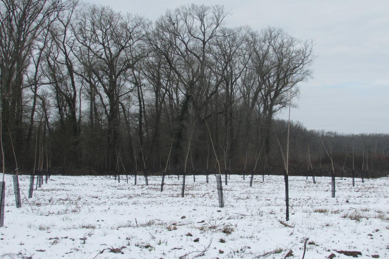 28/02/2018...La neige était au rendez-vous!