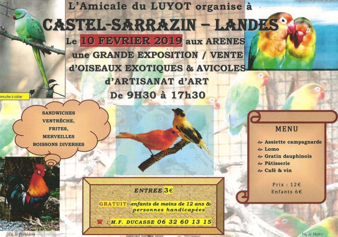 Bourse aux oiseaux 2019