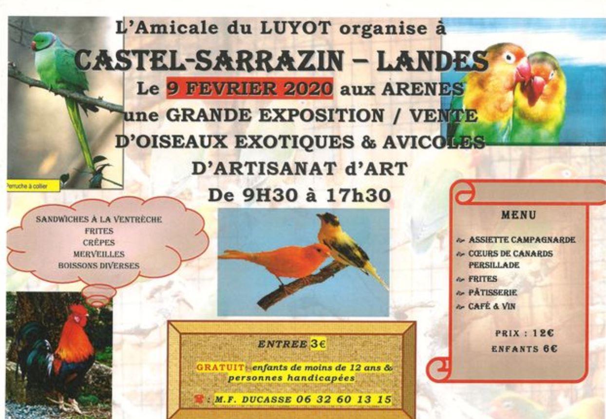 Bourse aux oiseaux 2020