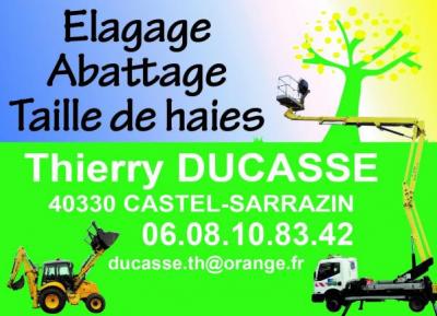 Elagage ducasse