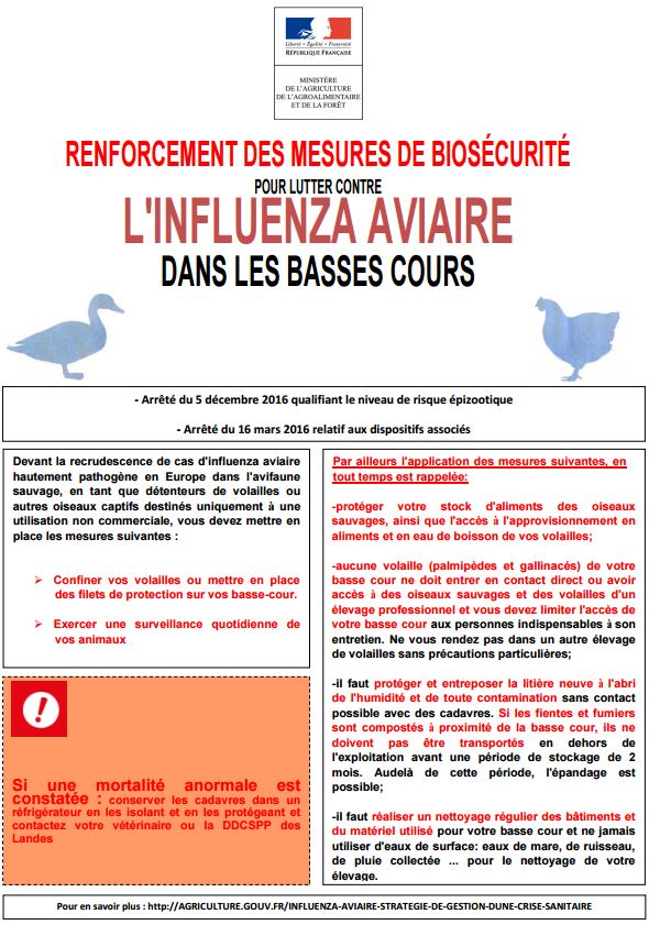 Influenza aviaire biosecurite